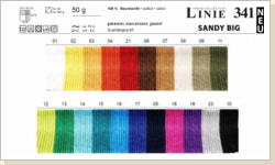 ONline Linie 341 Sandy big